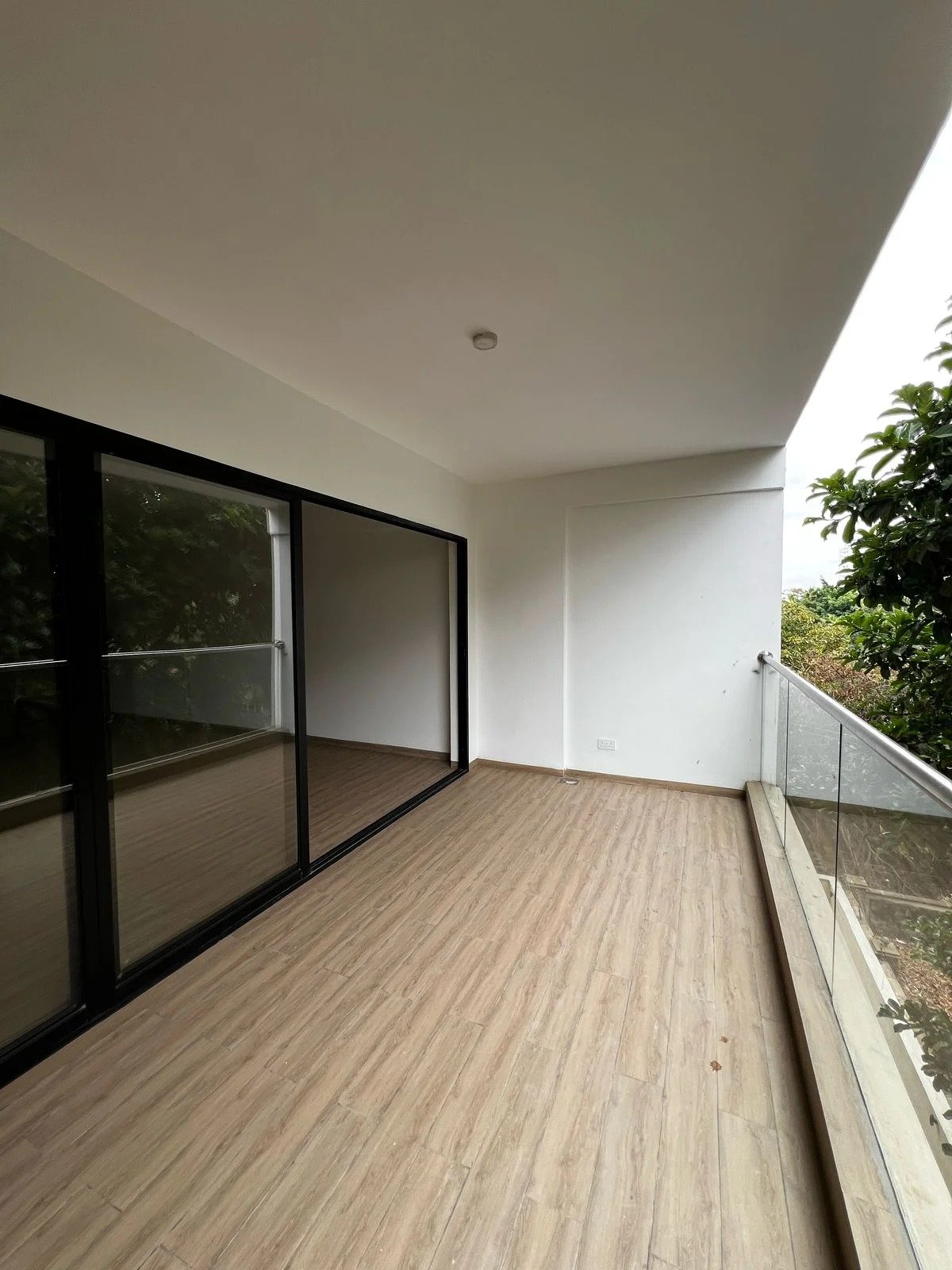 imgi_152_WhatsApp-Image-2025-03-14-at-10.27.58-PM1 Imgi 152 whatsapp image 2025 03 14 at 10.27.58 pm1