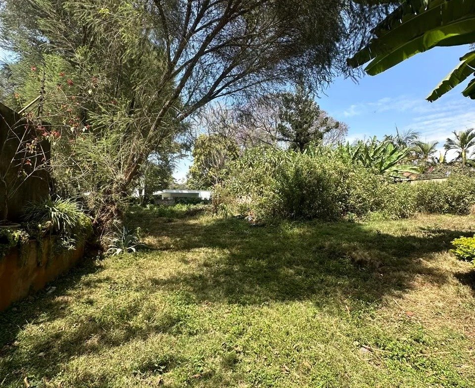 imgi_165_WhatsApp-Image-2025-10-03-at-8.24.32-PM4-960×785 Imgi 165 whatsapp image 2025 10 03 at 8.24.32 pm4 960x785