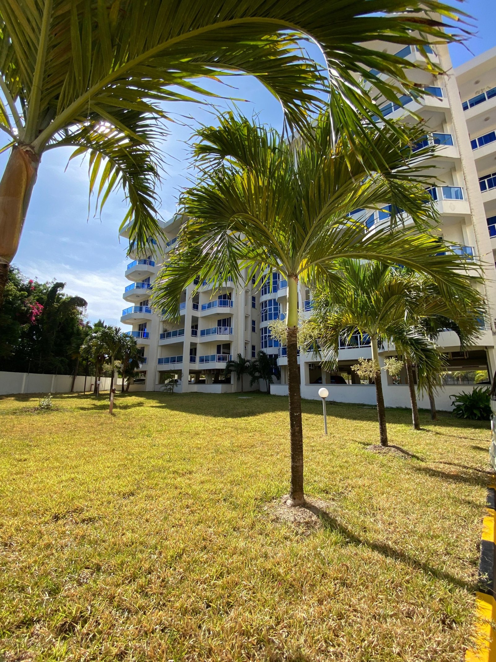 Imgi 167 whatsapp image 2024 10 08 at 16.43.11