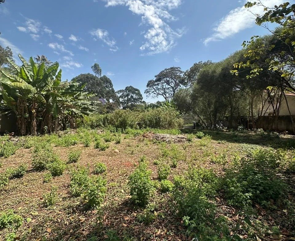 imgi_169_WhatsApp-Image-2025-10-03-at-8.24.32-PM1-960×785 Imgi 169 whatsapp image 2025 10 03 at 8.24.32 pm1 960x785