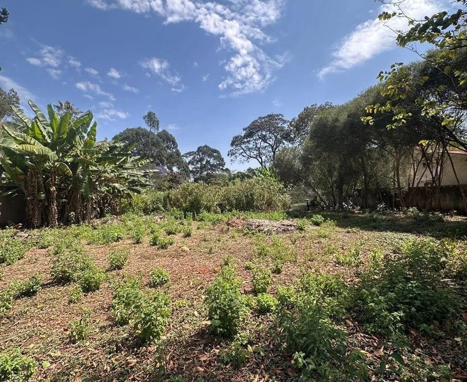 imgi_171_WhatsApp-Image-2025-10-03-at-8.24.32-PM-960×785 Imgi 171 whatsapp image 2025 10 03 at 8.24.32 pm 960x785