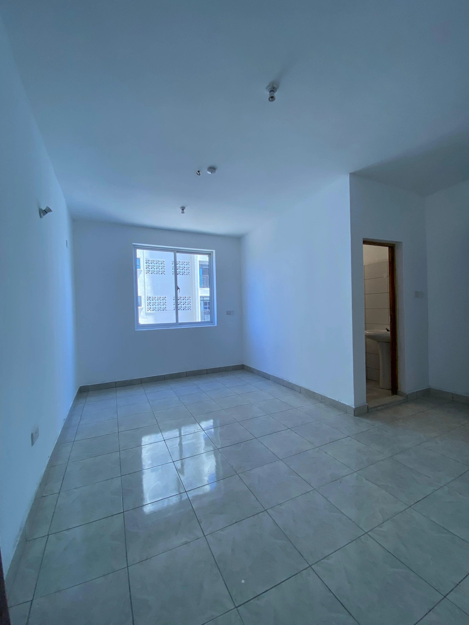 imgi_195_WhatsApp-Image-2024-10-14-at-22.46.37-1 Imgi 195 whatsapp image 2024 10 14 at 22.46.37 1