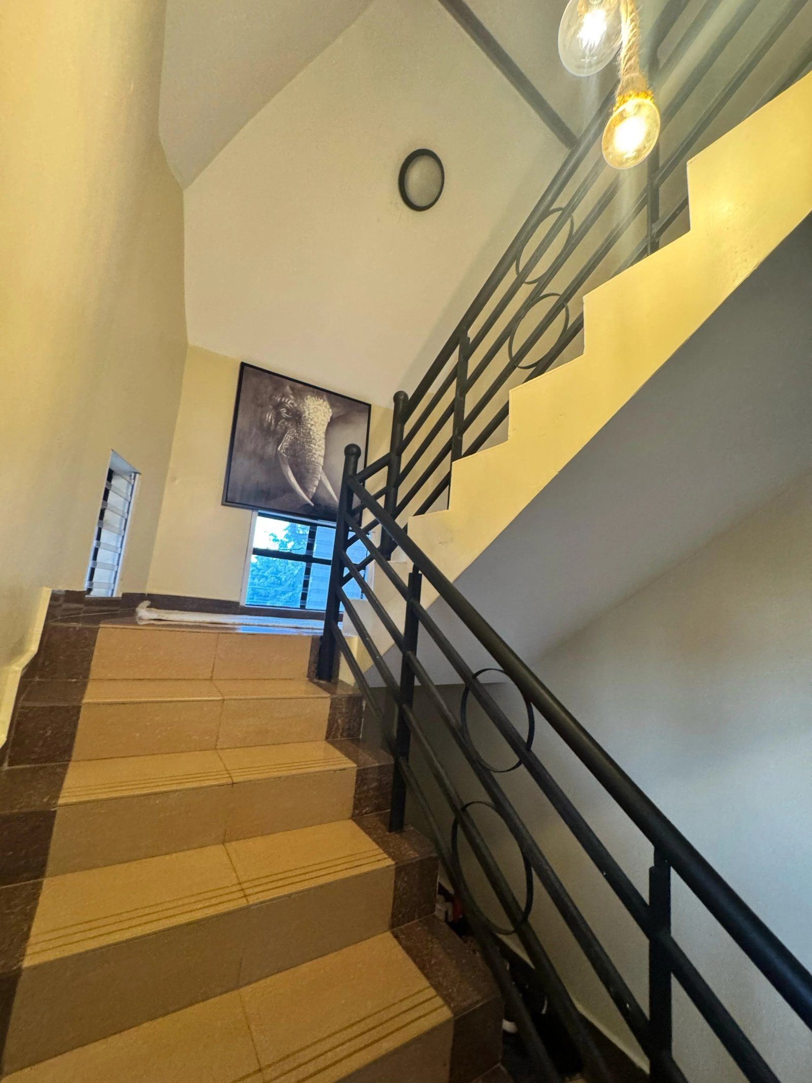 Imgi 196 whatsapp image 2025 02 21 at 10.56.33 am