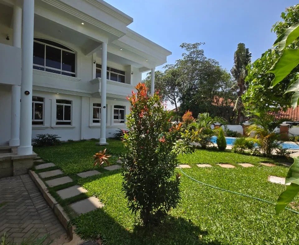 imgi_3_WhatsApp-Image-2025-09-22-at-12.09.52-AM1-960×785 Imgi 3 whatsapp image 2025 09 22 at 12.09.52 am1 960x785