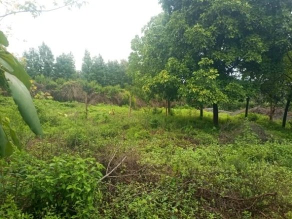 Imgi 124 whatsapp image 2023 11 23 at 15.35.17 1 592x444