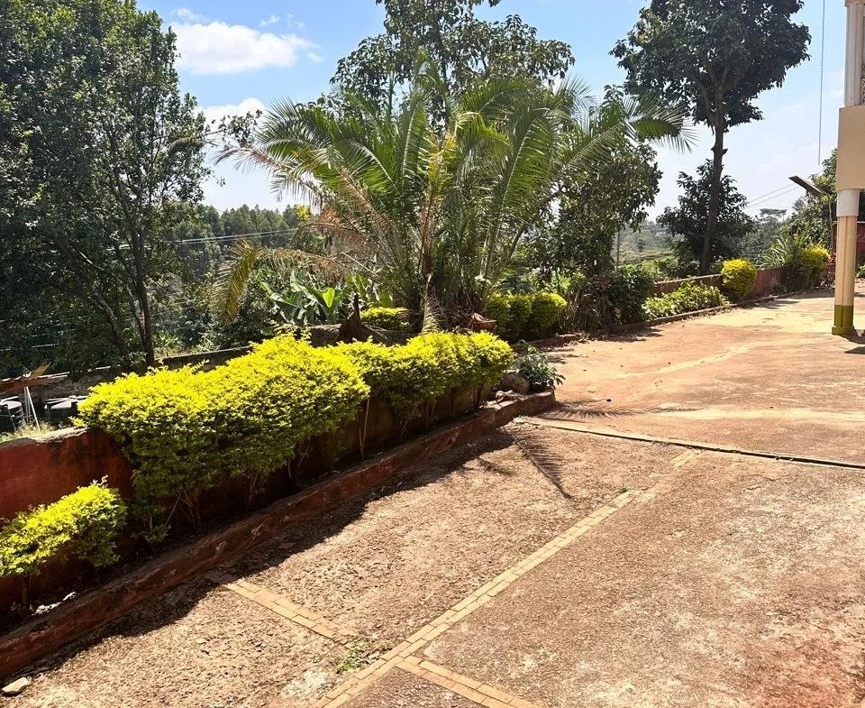 Imgi 152 whatsapp image 2024 09 23 at 08.35.41 1 960x785