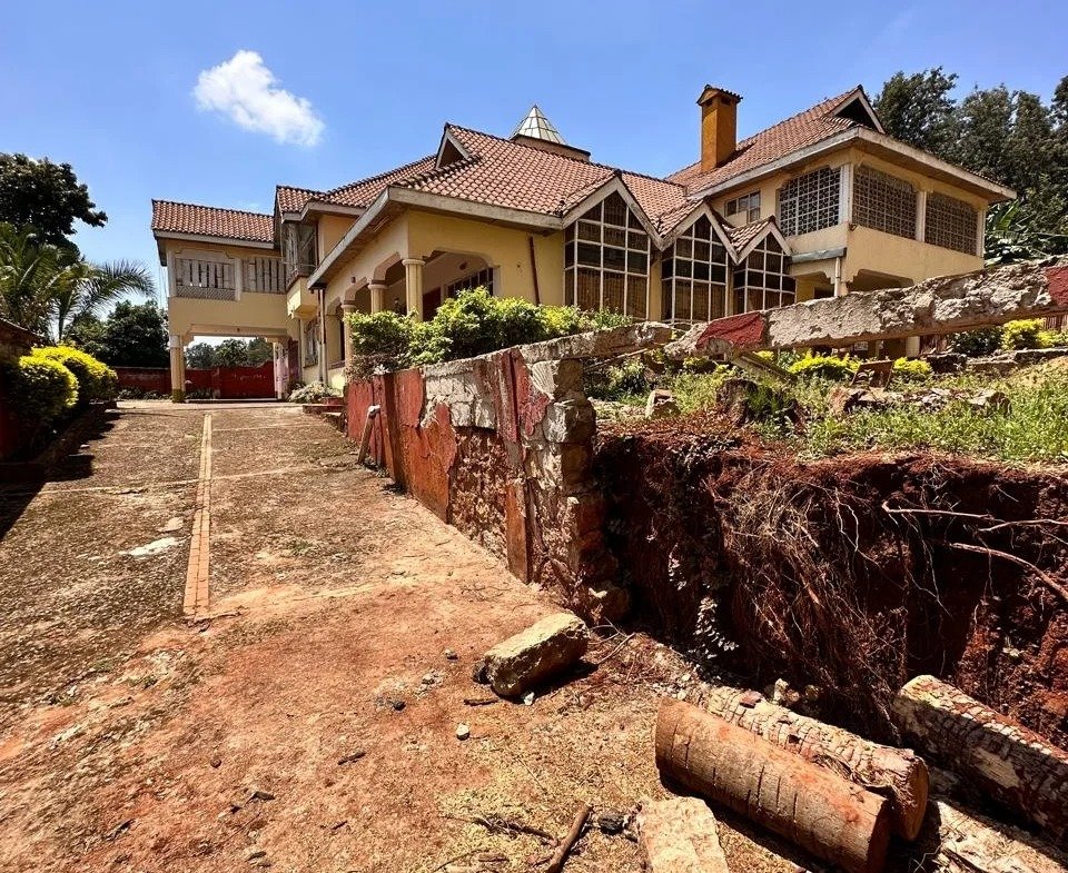 Imgi 154 whatsapp image 2024 09 23 at 08.35.41 960x785