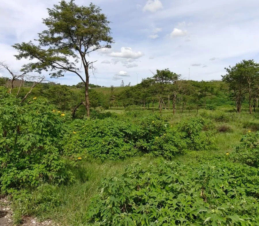 Imgi 163 whatsapp image 2025 04 23 at 4.17.45 pm 900x785