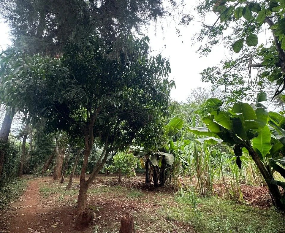 Imgi 164 whatsapp image 2025 10 03 at 8.45.47 pm2 960x785