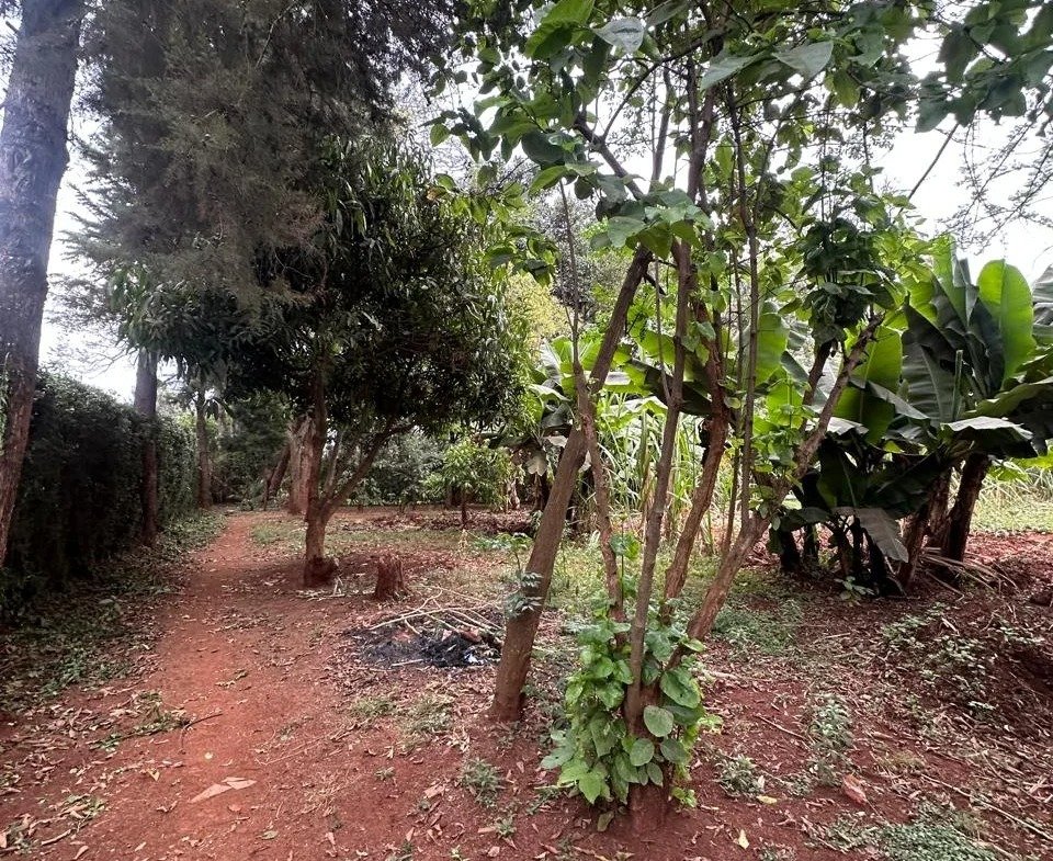 Imgi 165 whatsapp image 2025 10 03 at 8.45.47 pm 960x785