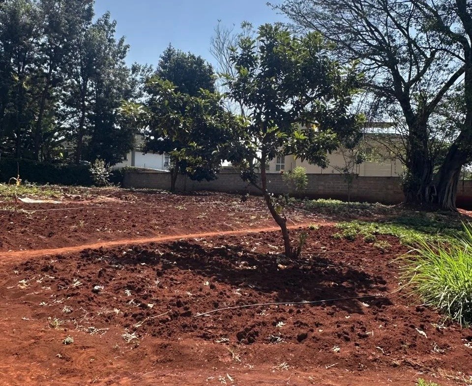 Imgi 172 whatsapp image 2025 10 03 at 7.40.29 pm4 960x785