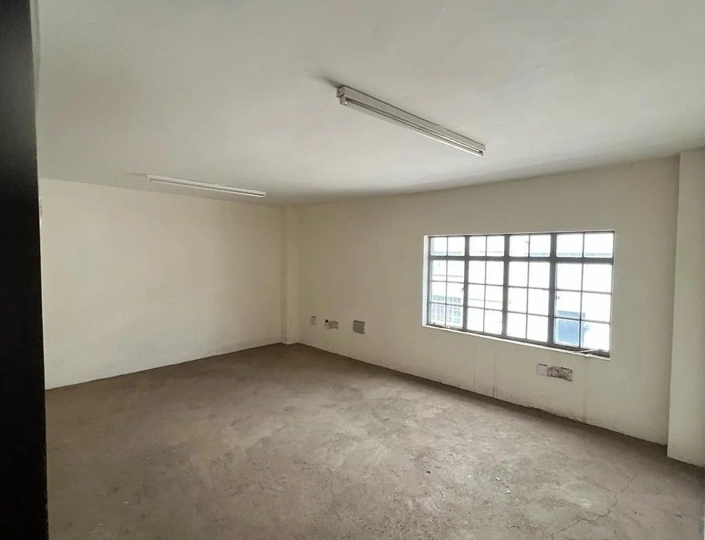 Imgi 173 whatsapp image 2024 03 04 at 11.21.11 2 1024x785