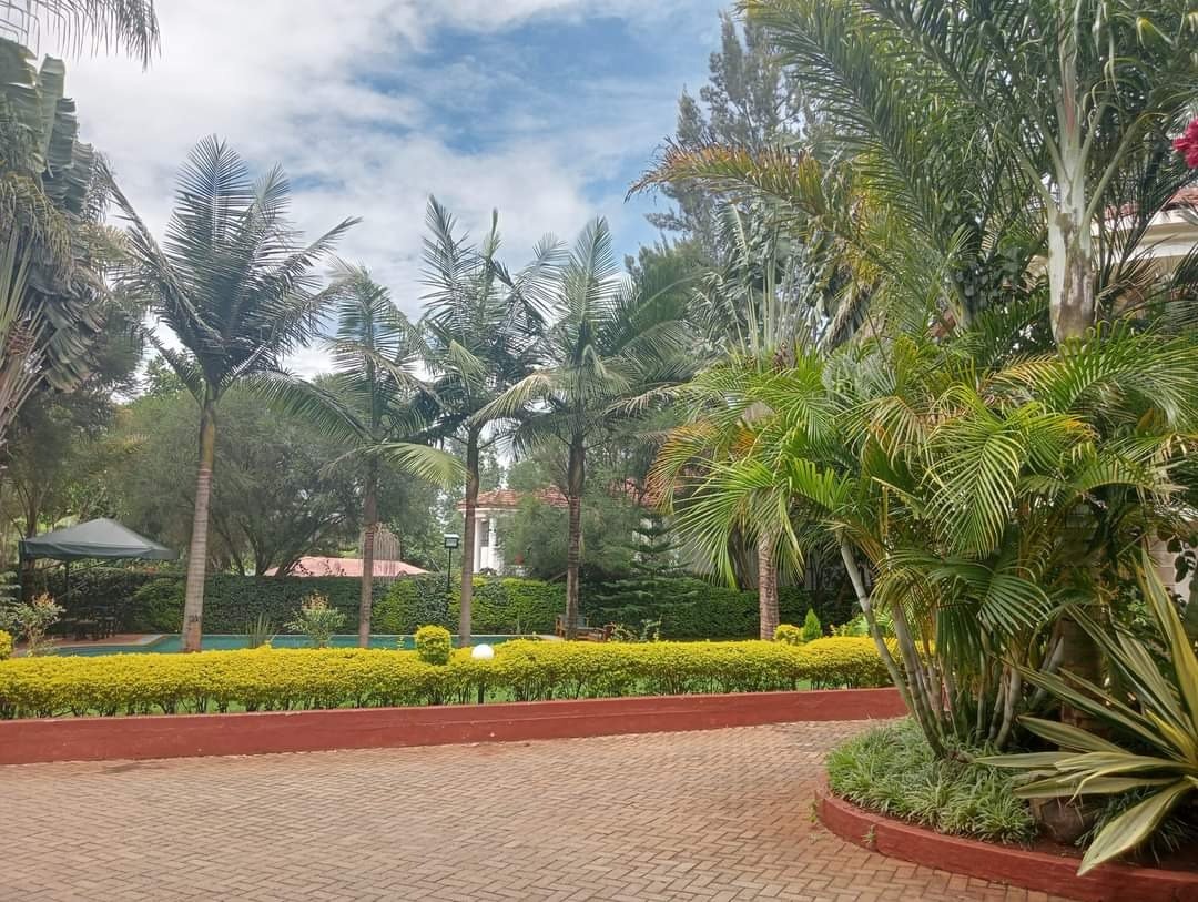 Imgi 175 whatsapp image 2024 07 05 at 18.46.47