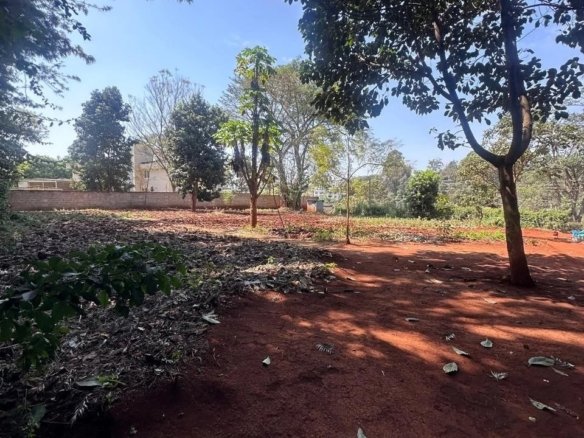 Imgi 176 whatsapp image 2025 10 03 at 7.40.29 pm 960x785