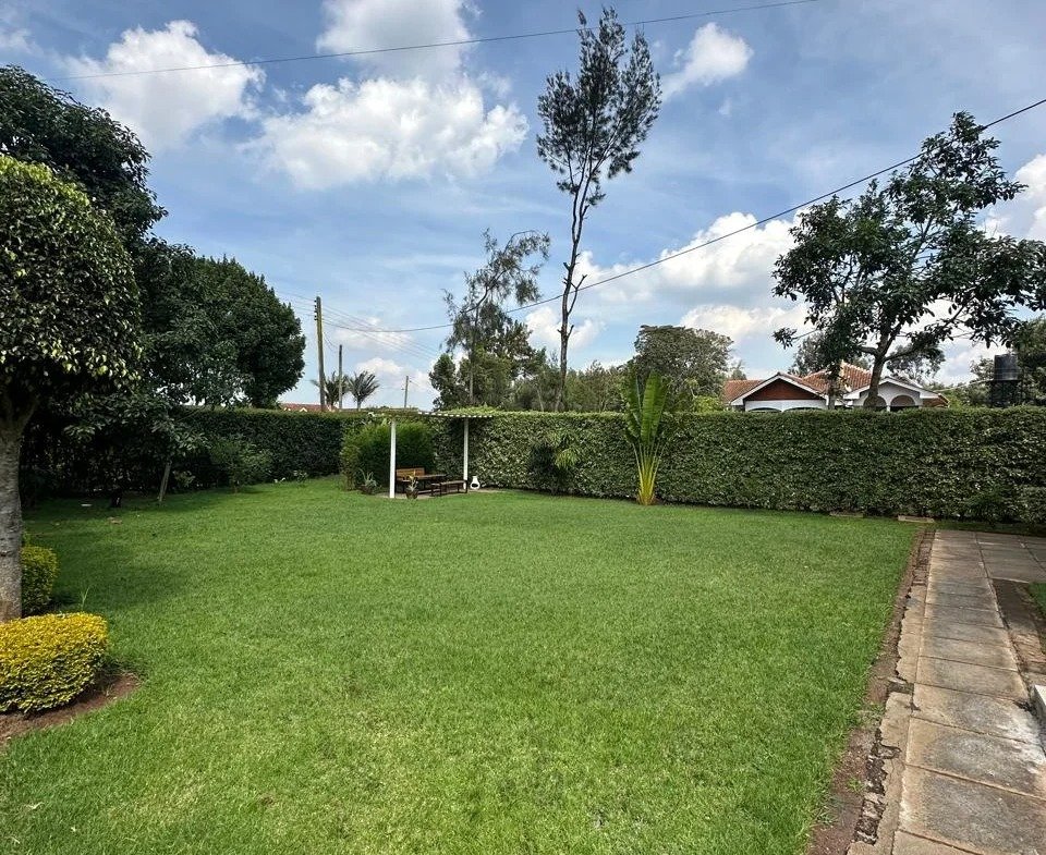 Imgi 246 whatsapp image 2025 04 09 at 8.01.30 pm3 960x785