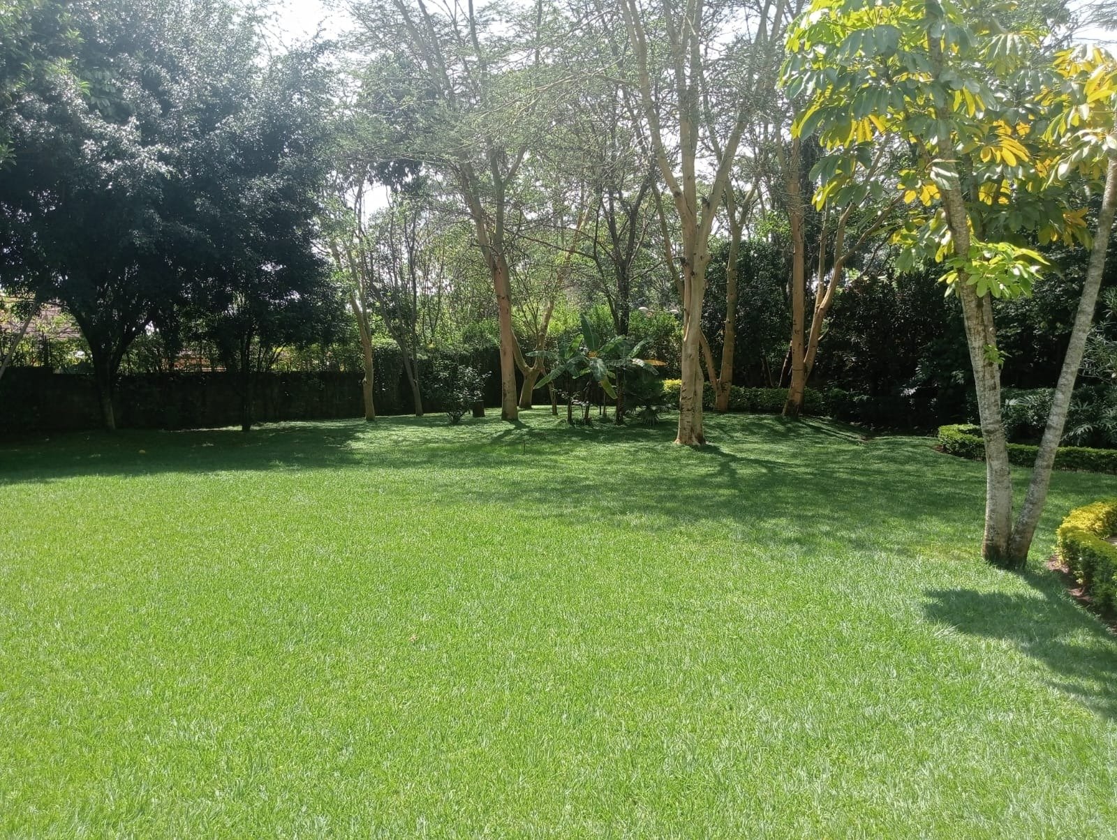 Imgi 264 whatsapp image 2025 03 19 at 6.29.46 pm4