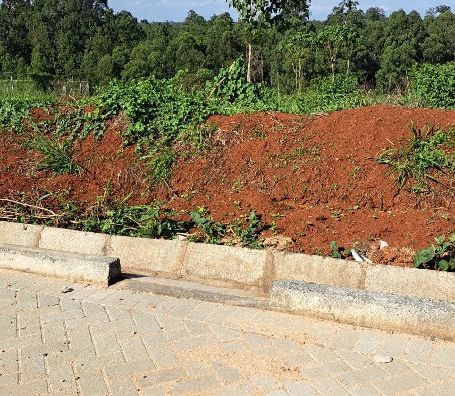 Imgi 2 whatsapp image 2024 04 26 at 22.15.59 2 901x785