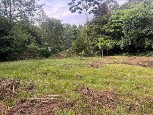 Imgi 2 whatsapp image 2024 05 09 at 10.14.11