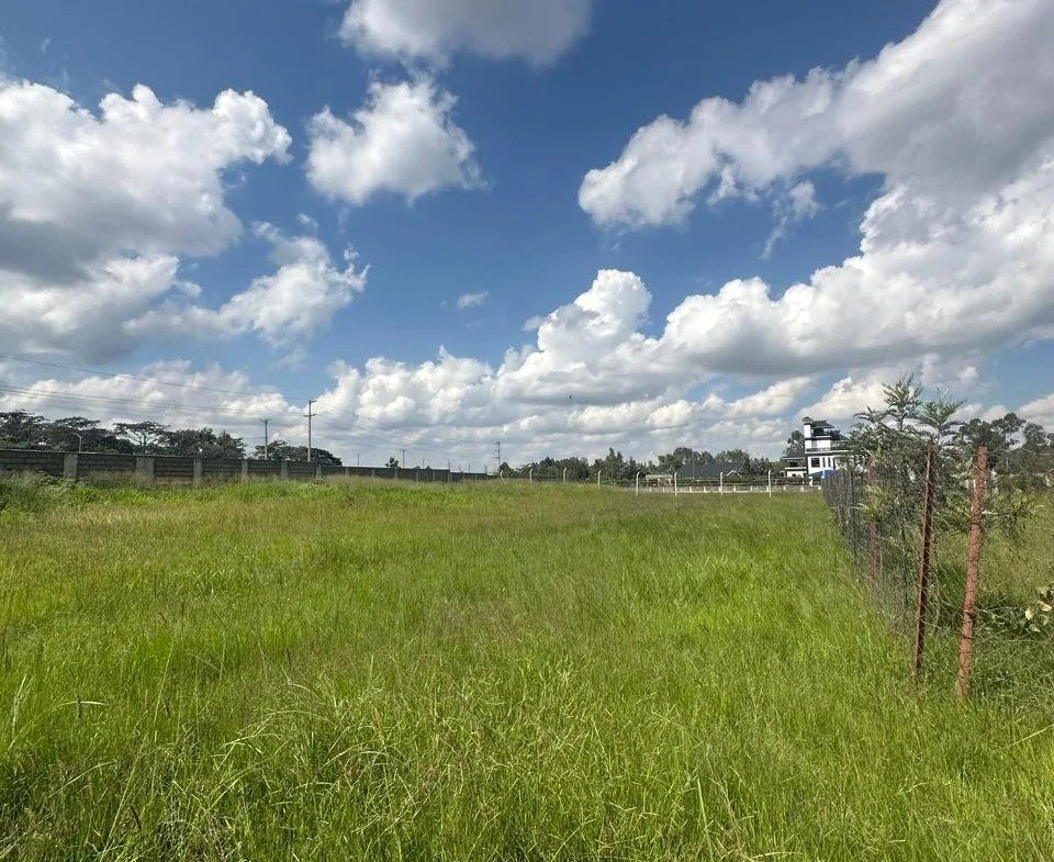 imgi_2_WhatsApp-Image-2024-06-13-at-21.05.04-1-960×785 Imgi 2 whatsapp image 2024 06 13 at 21.05.04 1 960x785