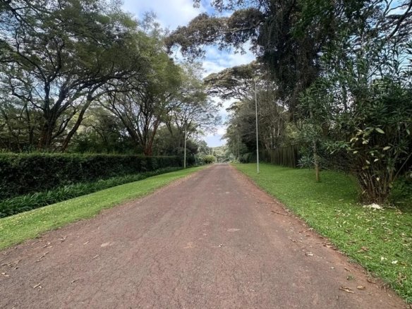 Imgi 2 whatsapp image 2024 07 23 at 11.56.47 11 960x785