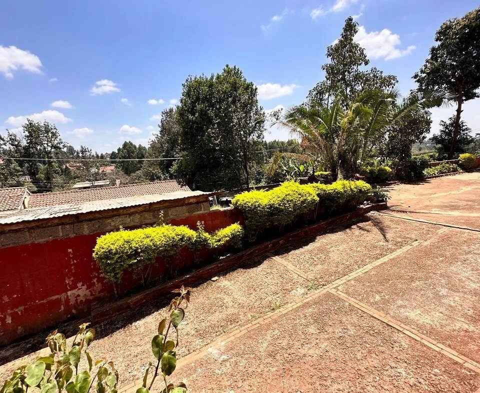 Imgi 2 whatsapp image 2024 09 23 at 08.35.42 960x785