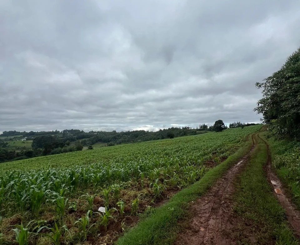 Imgi 2 whatsapp image 2025 05 13 at 3.28.58 pm 960x785