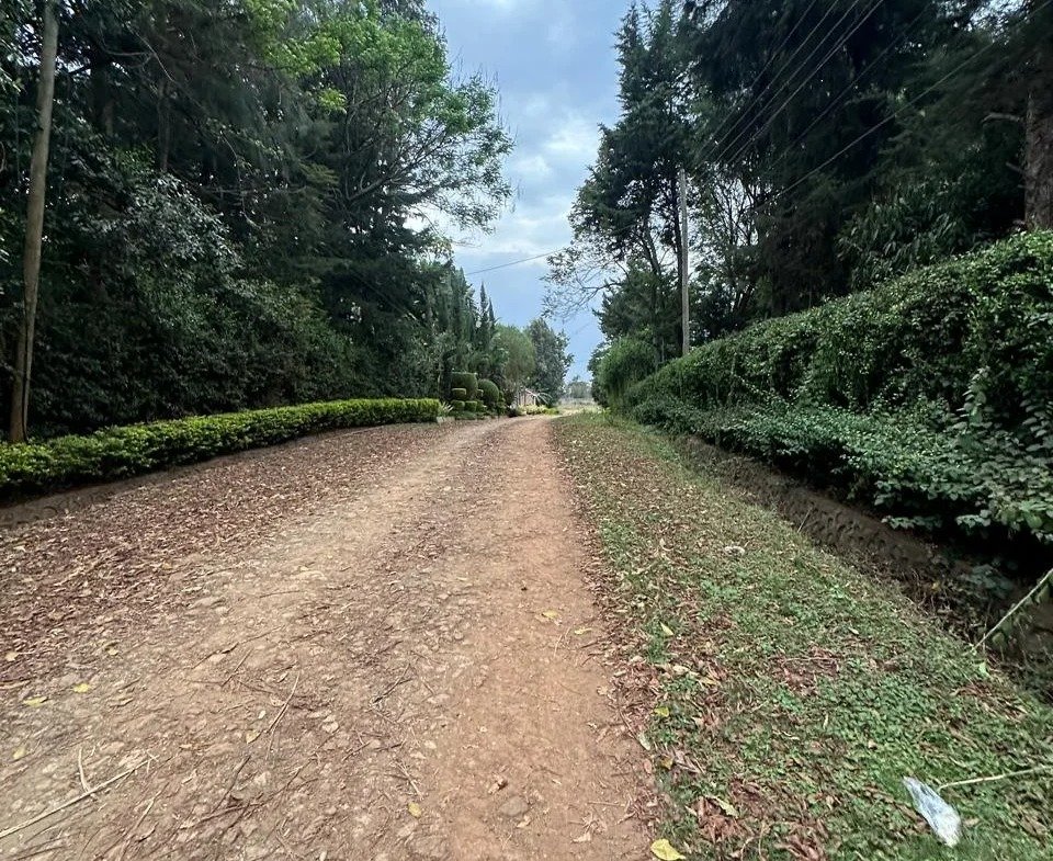 Imgi 2 whatsapp image 2025 10 03 at 8.45.46 pm2 960x785