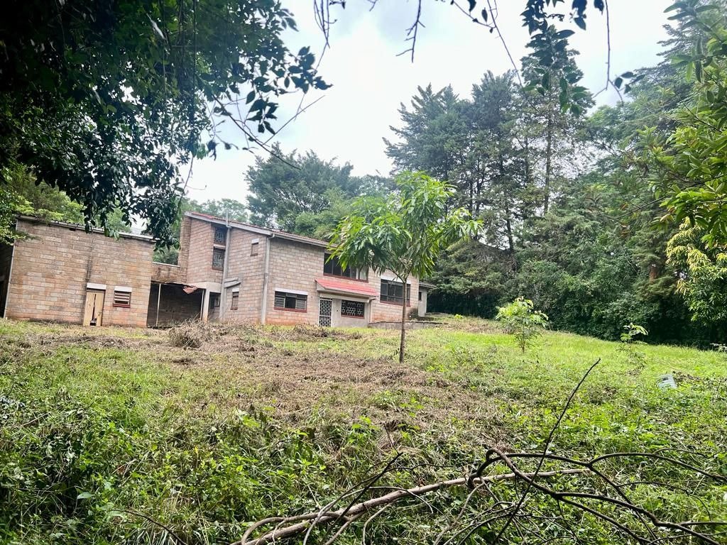 imgi_3_WhatsApp-Image-2024-05-09-at-10.14.13-1 Imgi 3 whatsapp image 2024 05 09 at 10.14.13 1