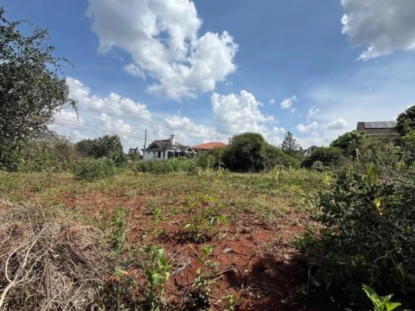 Imgi 3 whatsapp image 2025 03 19 at 12.38.45 pm 960x785