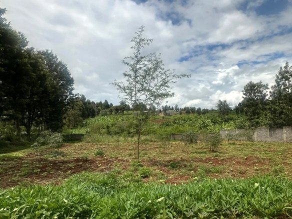 Imgi 3 whatsapp image 2025 03 27 at 9.32.44 pm1 1170x785