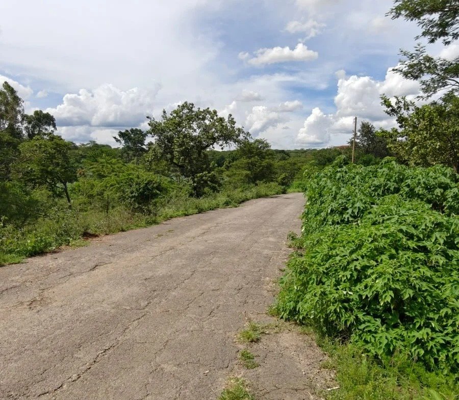 Imgi 3 whatsapp image 2025 04 23 at 4.17.44 pm 900x785