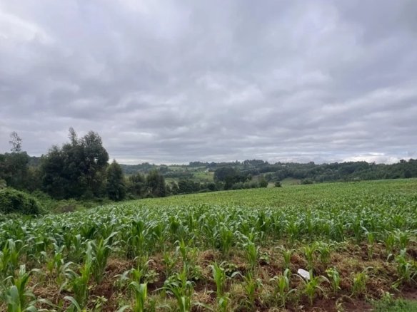 Imgi 3 whatsapp image 2025 05 13 at 3.28.59 pm 960x785