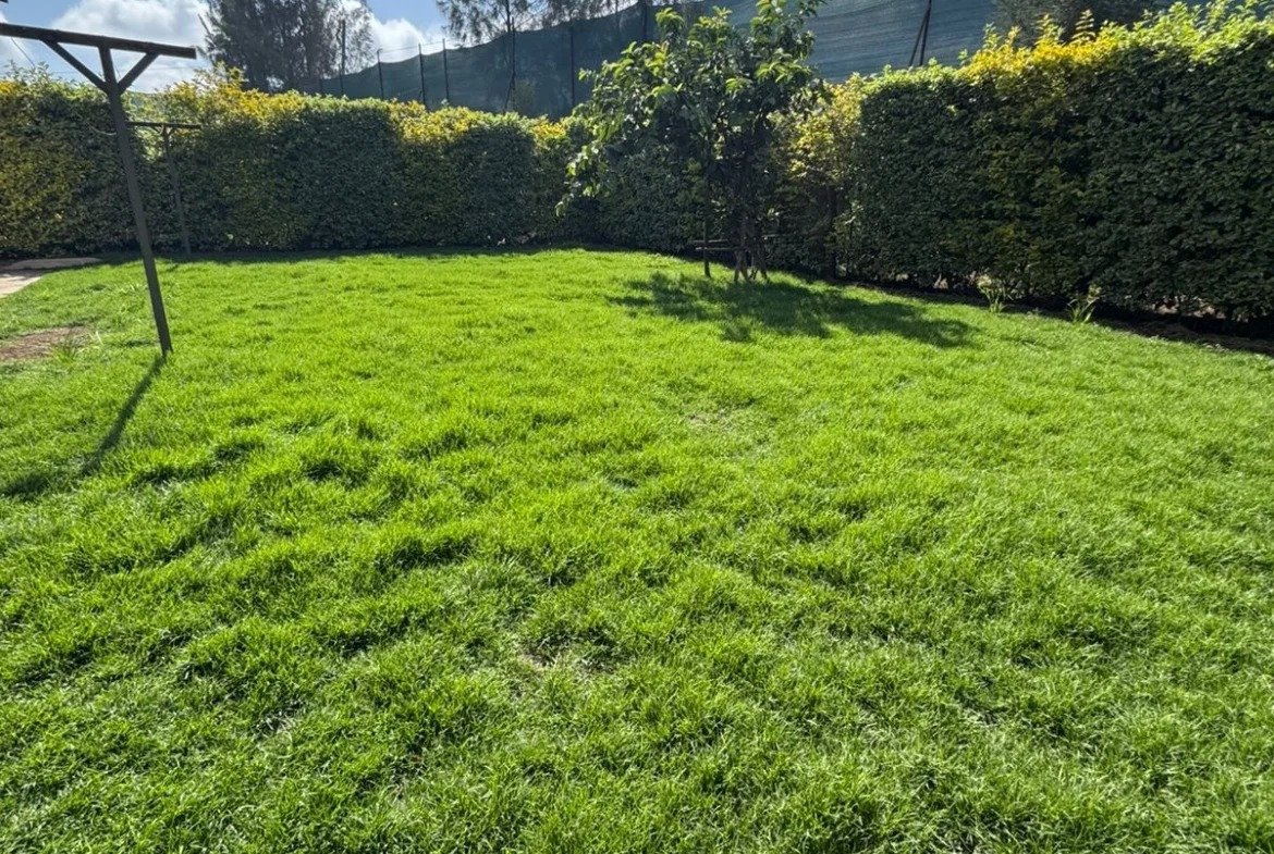 Imgi 3 whatsapp image 2025 06 23 at 11.38.59 am 1170x785