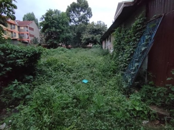 Imgi 3 whatsapp image 2025 08 04 at 1.38.20 pm1 864x785