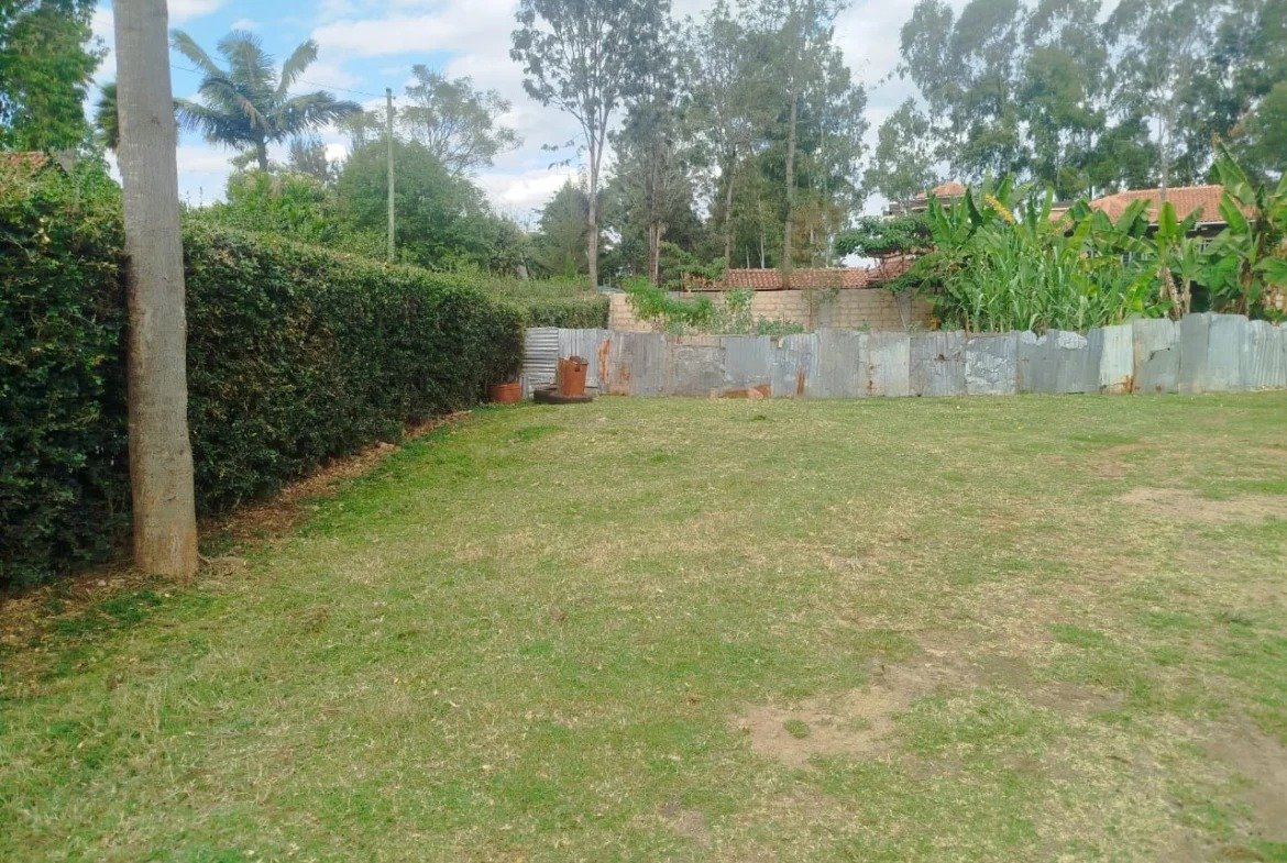 Imgi 3 whatsapp image 2025 09 12 at 8.34.17 pm 1170x785