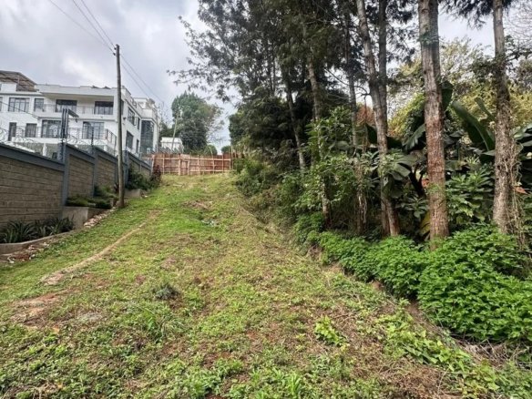 Imgi 3 whatsapp image 2025 10 03 at 8.01.05 pm18 960x785