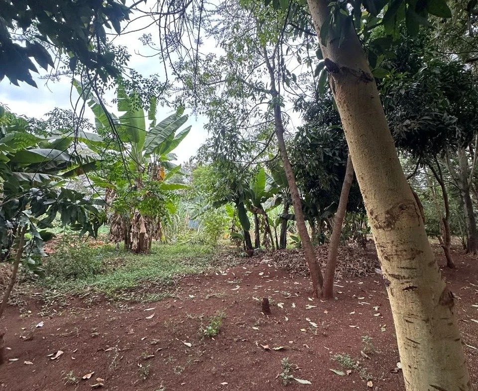 Imgi 3 whatsapp image 2025 10 03 at 8.45.46 pm1 960x785