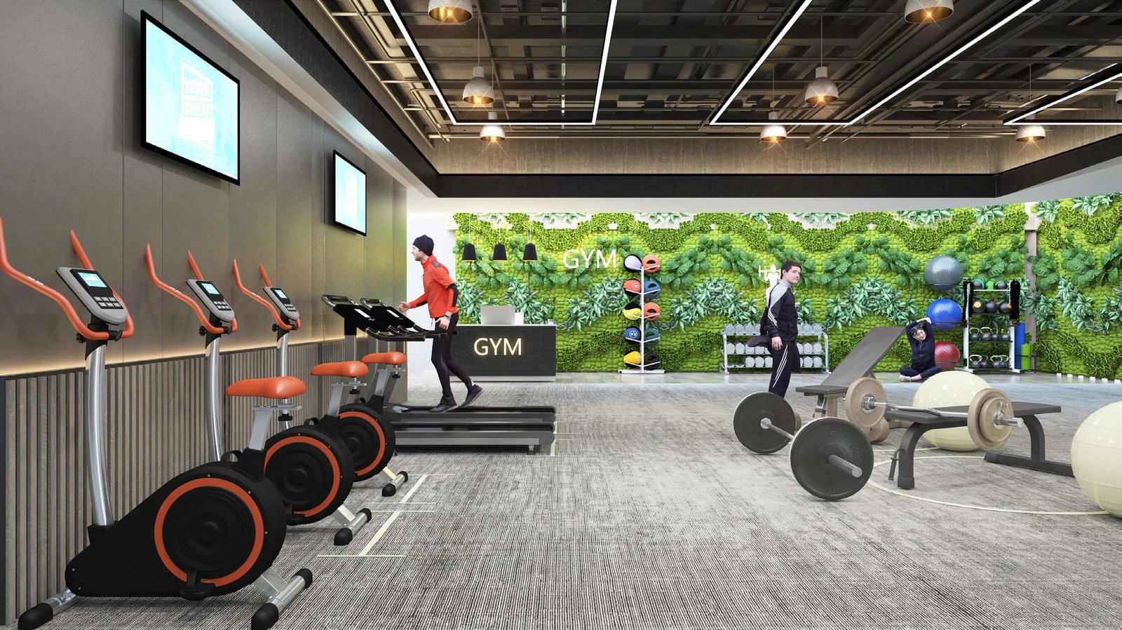 imgi_46_Black-olive-Gym Imgi 46 Black olive Gym