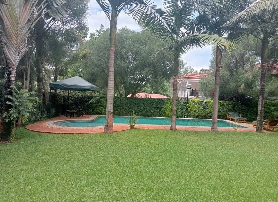 Imgi 4 whatsapp image 2024 07 05 at 18.46.47 1 1080x785