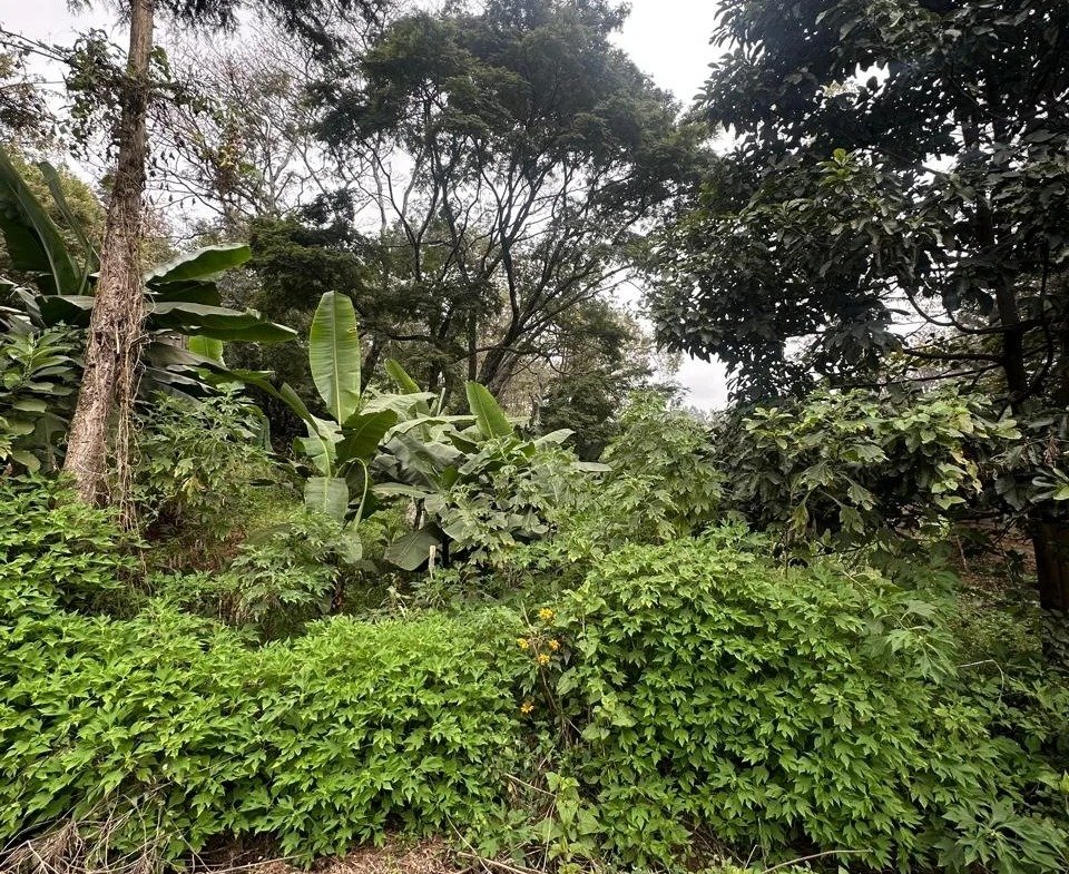 Imgi 4 whatsapp image 2025 10 03 at 8.01.05 pm13 960x785