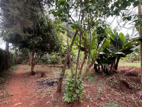 Imgi 4 whatsapp image 2025 10 03 at 8.45.46 pm3 960x785