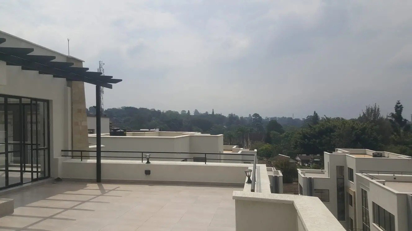 Imgi 77 954fe401 1163 4f53 a223 39a7240ca6f0